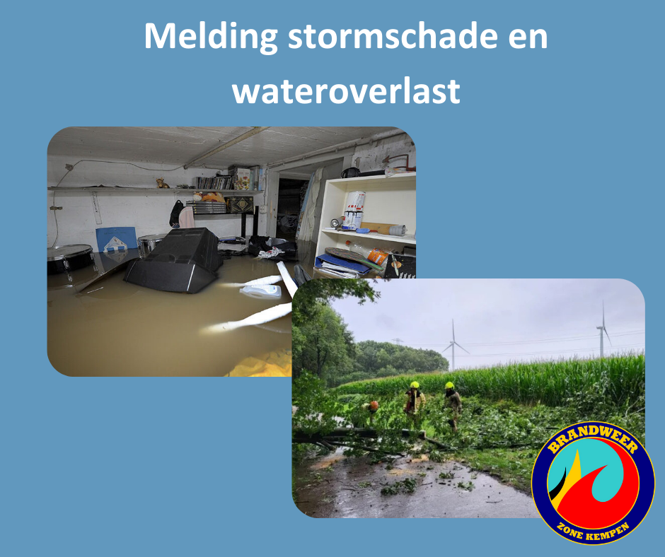 Stormschade boom of takken